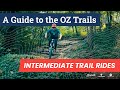 Riding in bentonvilleintermediate trail ride