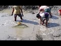 Best Hand Fishing | Unbelievable Fishing Video | Hand Fishing By Village Peoples