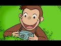 おさるのジョージ 🐵オタマジャクシはカエルの子 🐵TVアニメシリーズ 🐵 フルシーズン1 🐵