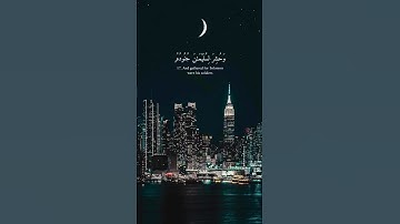 Surah Naml 17-19 | سورة النمل ١٩-١٧ | By Sheikh Yasser Al Dossary | للشيخ ياسر الدوسري
