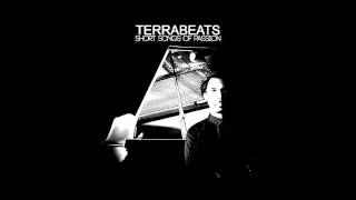 Terrabeats Concept- Ssop 1