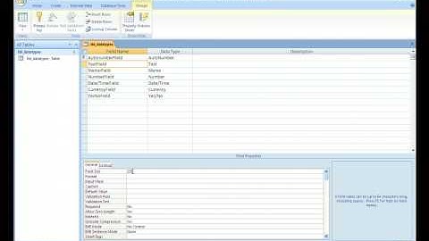 Shirt Database - 00 - Access Data Types