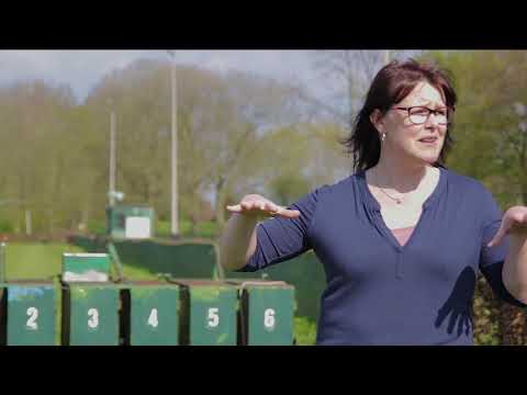 Video: Italiaanse Windhond Hondenras Hypoallergeen, Gezondheid En Levensduur