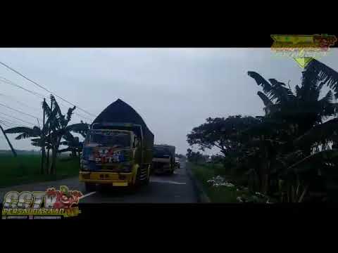  Truk  cabe  muatan  5 ton goyang goyang tanpa rasa takut 