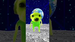November 15, 2025
