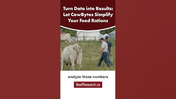 How to turn data into results with CowBytes