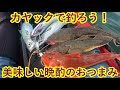 カヤックで釣ろう!美味しい晩酌のおつまみ