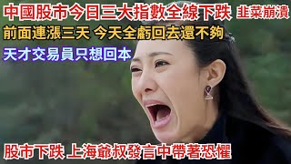 中国股市今日三大指数全线下跌，韭菜崩溃摔碎自己的脸，前面连涨三天，上海叔言语中带着緊張，今天全亏回来还不够，天才交易员炒股三年复苏本