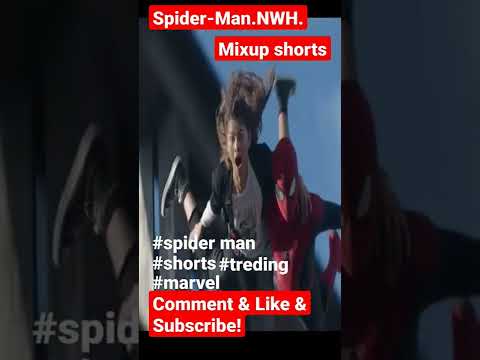 Spider-Man.NWH