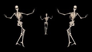 Skeleton Belly Dance Trio