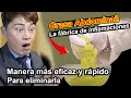 La grasa Abdominal - La fábrica de inflamaciones | Manera más fácil y eficiente para eliminarla