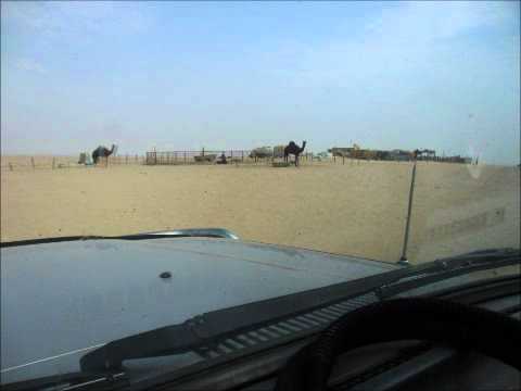 رحلة السفانية