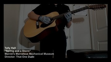 Tally Hall - Spring and a Storm (Fan Music Video)