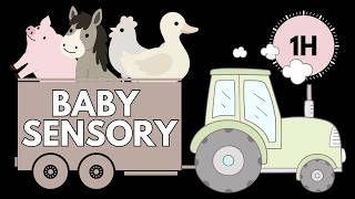 Baby Farm Sensory 🚜🐷 | 1 Hour Calm Farm Animals for Babies | Gentle Music & Montessori Visuals screenshot 3