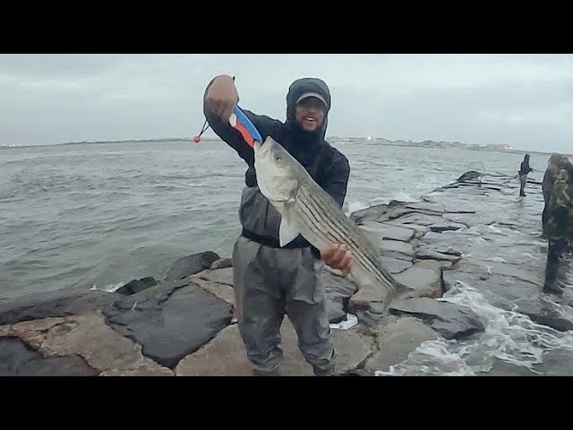 Nearly One Hour Of Kayak Striped Bass (Lost Clips, A Few Cows, Mega  Bluefish, & Plenty Of Kookery) 