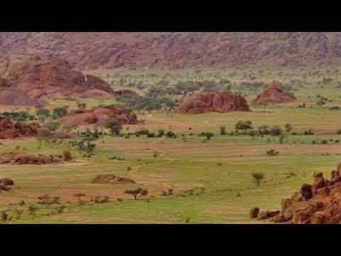 قصيدة سويد بن أبي كاهل اليشكري بسطت رابعة الحبل لنا