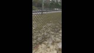 4' high and 6' high Black Chain Link fence