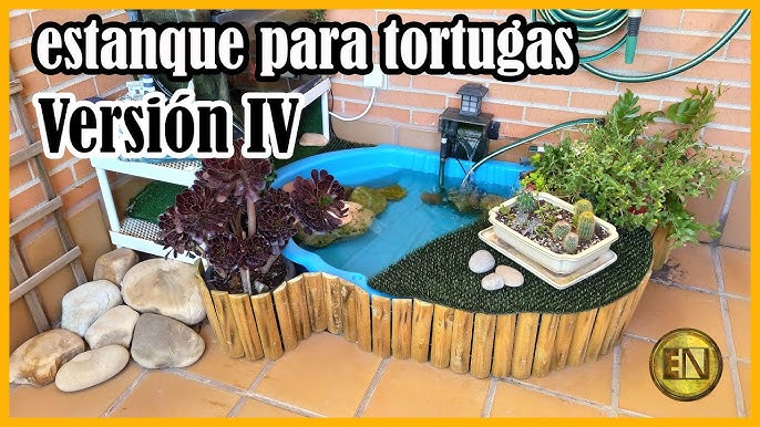 Acuaterrario Para Tortugas Casero: Guía Paso a Paso Fácil