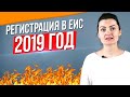 Регистрация в ЕИС 2019 год  Порядок  Ошибки