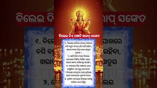ବିଲେଇ ୫ଟି ଖରାପ୍ ସଙ୍କେତ ଦେଇଥାଏ !! ##shorts #shortfeeds #trendingshorts #sadhubani #hitabani