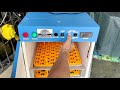 AUTHOMATIC EGG INCUBATOR 216 SETTER WITH HATCHER