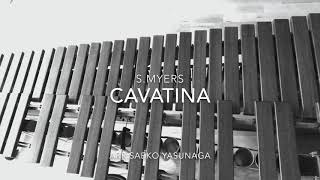「カヴァティーナ Cavatina」スタンリー・マイヤーズ Stanley.Myers作曲 / 安永早絵子 Saeko.Yasunaga編曲・演奏