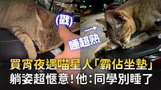 買宵夜遇喵星人「霸佔坐墊」　躺姿超愜意！他：同學別睡了 ｜#寵物雲