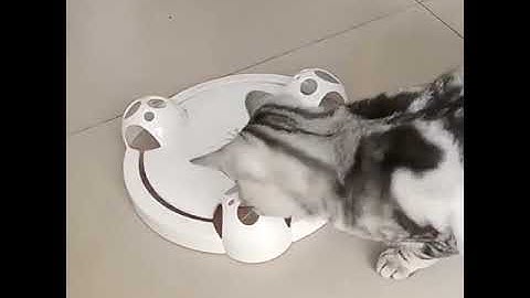 BUYTER Interactive Cat Turntable Rotating Toy Electric Puzzle Catch Mouse Play Plate