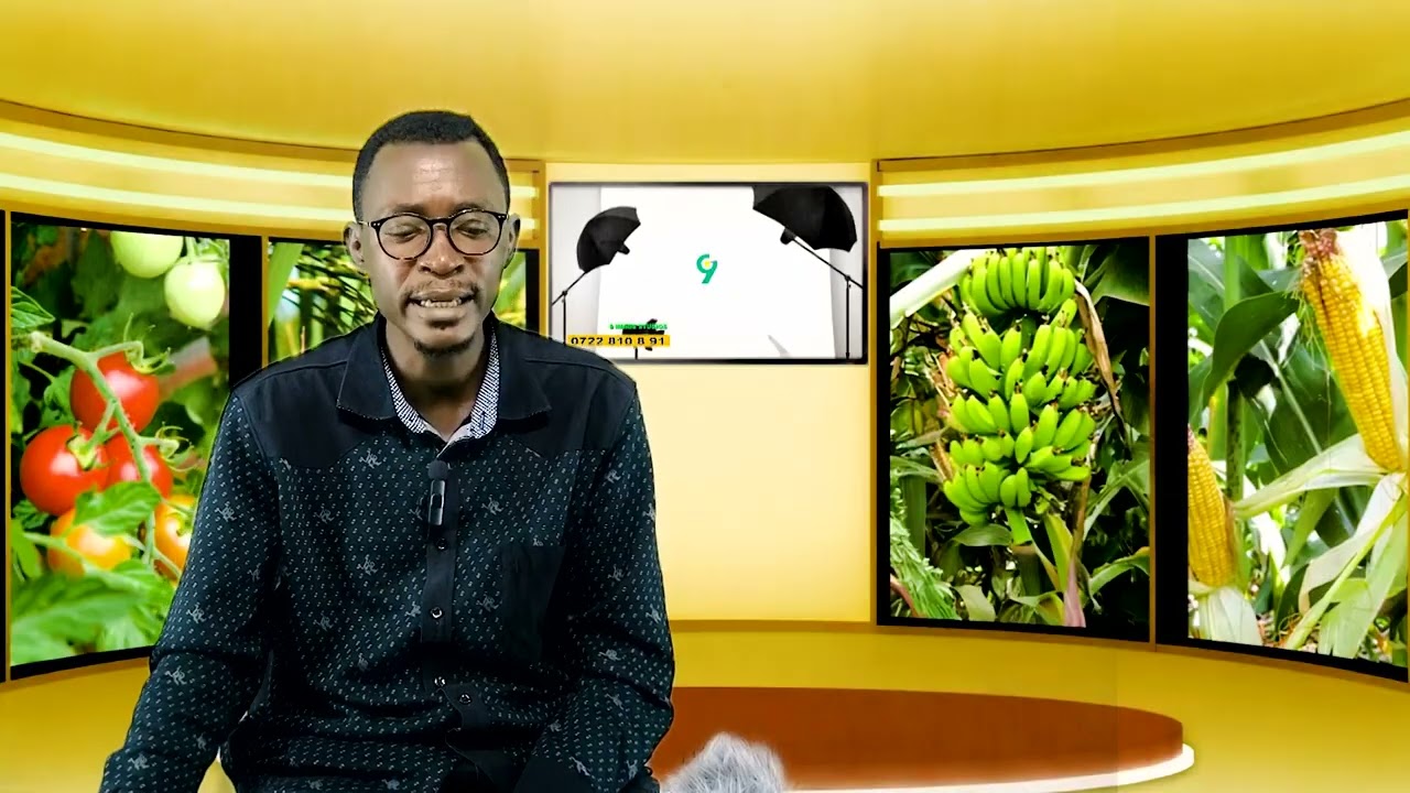 “Impamvu Inkeri Zishobora Guhindura Ubuzima bwawe mu Buhinzi”