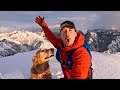 Golden retrievers love the snow  nala stomps on mountain tops