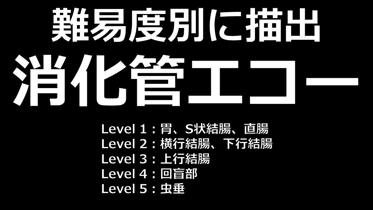 消化管エコーの始め方 まずは便秘の診断から！ - YouTube