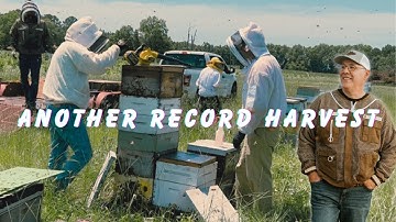 Largest Ever Honey Harvest (Part 1) Pulling Honey