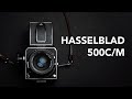 HASSELBLAD 500CM | Review & Sample Photos