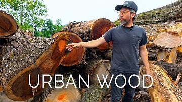 How An Innovative City Rescues “Trash” Trees