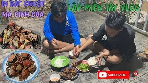 Tập 17: Mấy anh em đi bắt chuột đồng mà dính cua quá ngon