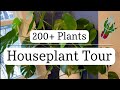 House Plant Tour | 200+ House Plants | January 2021