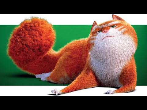 საოცარი კატა მორისი ქართულად | saocari kata morisi qartulad