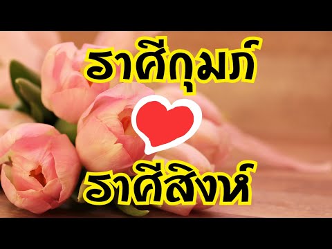 วีดีโอ: หญิงราศีสิงห์และชายราศีกุมภ์เข้ากันได้หรือไม่?