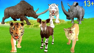 Big Cat Week - Zoo Animals Tiger, Rhino, Cougar, White Tiger, Okapi, Puma, Woolly Rhino 13+