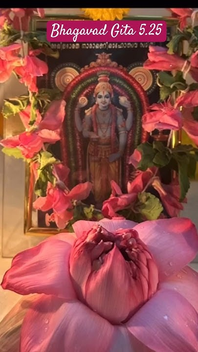 Bhagavad Gita 5 25 Chapter 5 Verse 25 Gita gitachanting bhagavad-gita-5-25-chapter-5-verse-25-gita-gitachanting