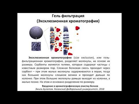 Видео: С помощью гель-фильтрационной хроматографии?