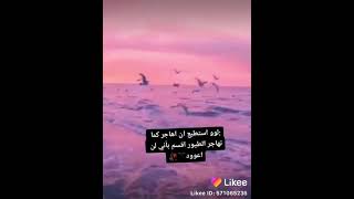 ستوريات حزينه / لو استطيع ان اهاجر كما تهاجر الطيور…… .