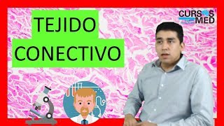 TEJIDO CONECTIVO HISTOLOGÍA ✅. (2019)