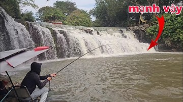 Câu đài tự nhiên trở lại bãi câu thác nước chảy xiết đụng bầy cá trôi và rô phi to | câu cá tự nhiên