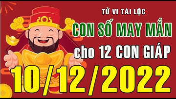 CON SỐ MAY MẮN HÀNG NGÀY (10-12-2022) CỦA 12 CON GIÁP: Số Tài lộc, Giàu có & Thịnh Vượng