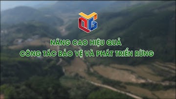 Nâng cao hiệu quả công tác bảo vệ và phát triển rừng