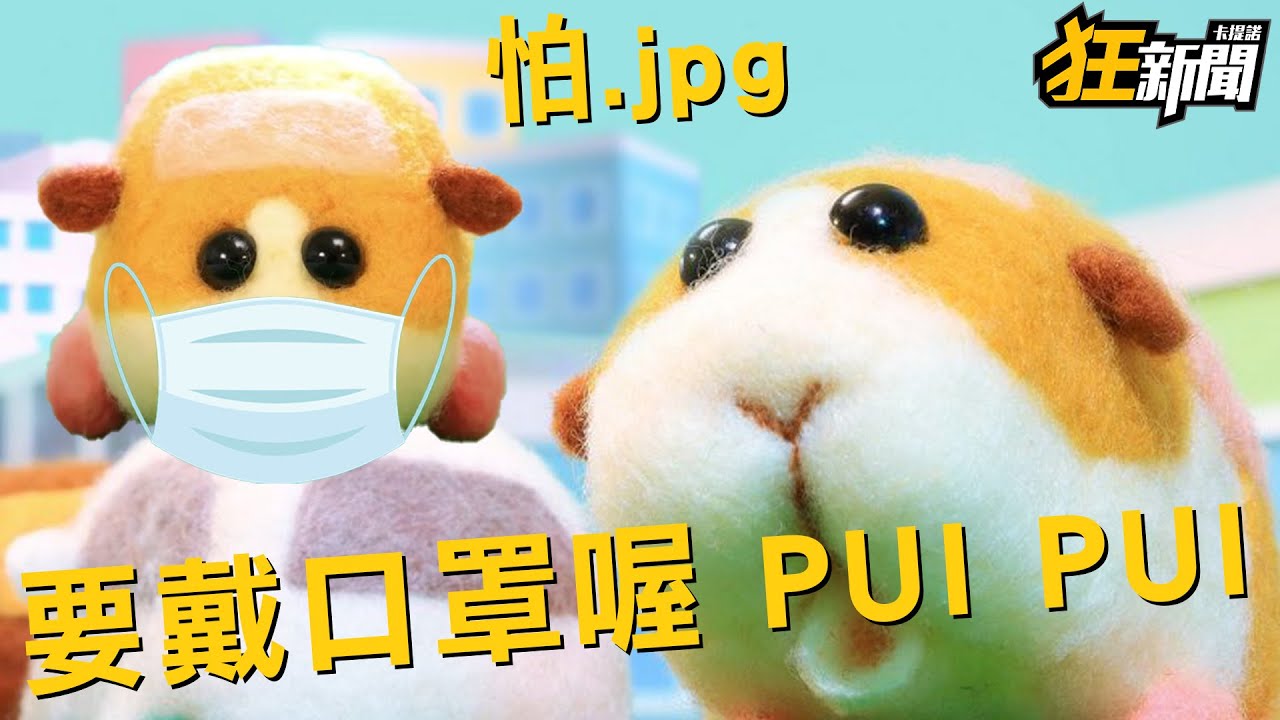 0123 卡提諾狂新聞 255 天竺鼠車車跟大家說要戴口罩喔pui Pui Youtube