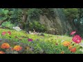 Amongst the Flowers (Upbeat Lo-fi Hip Hop Mix)