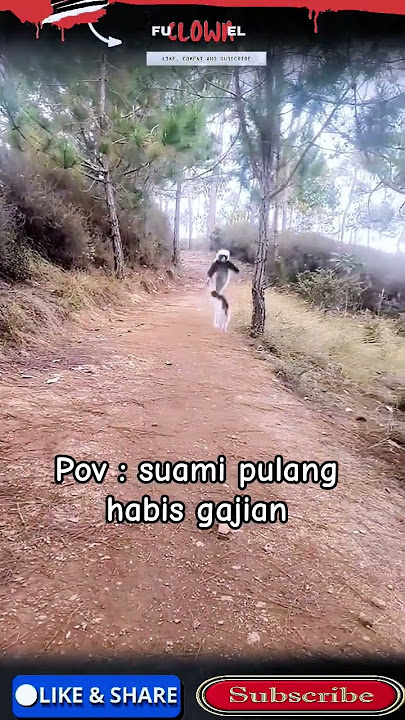 suami pulang habis gajian #shorts #monkey #funny