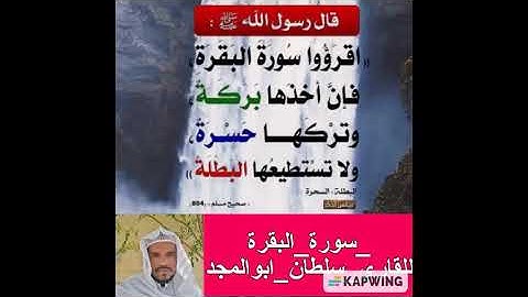 سورة البقرة كاملة للقارئ سلطان ابوالمجد.